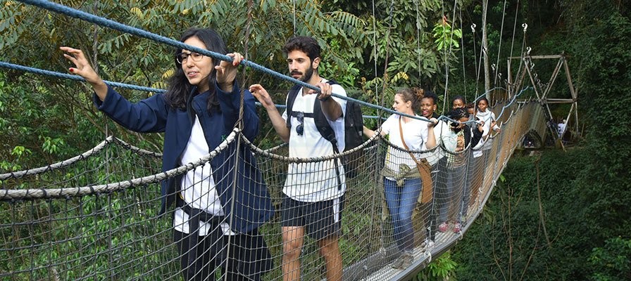 Nyungwe Forest Canopy Walk