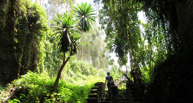 Musanze Caves Are More Than Just a Compliment to Rwanda’s Gorilla Tracking Safari- Rwanda Safari News