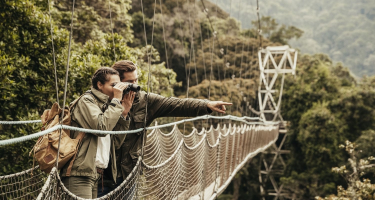 Nyungwe Forest National Park Rwanda