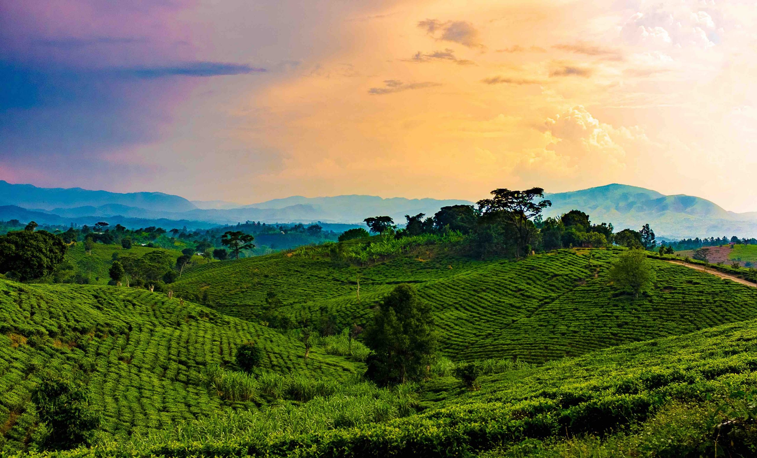 Travel Guide to Rwanda