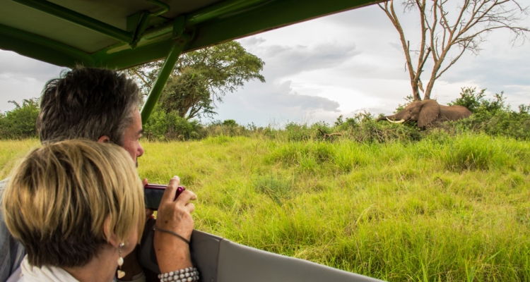 Game drives
