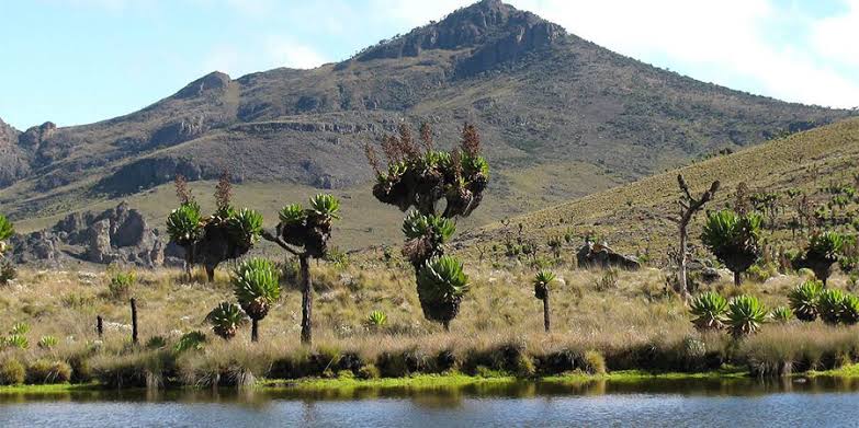 Mount Elgon National Park Uganda