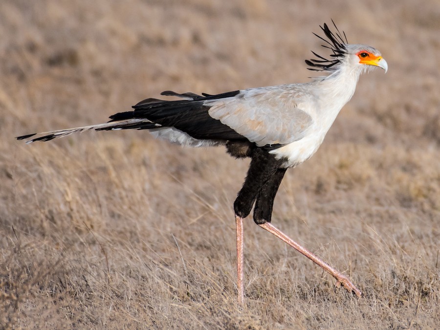 Kidepo National Park